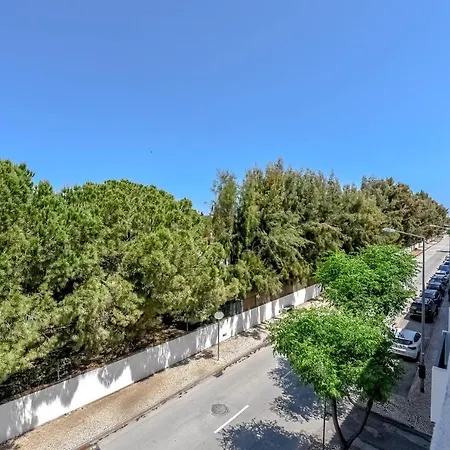 Penthouse Olivia Apartman